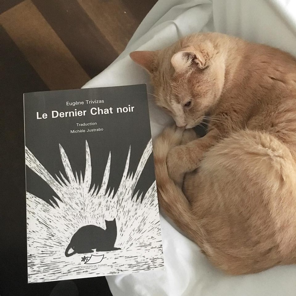 Le Dernier Chat Noir Eugene Trivizas Mademoisellelit