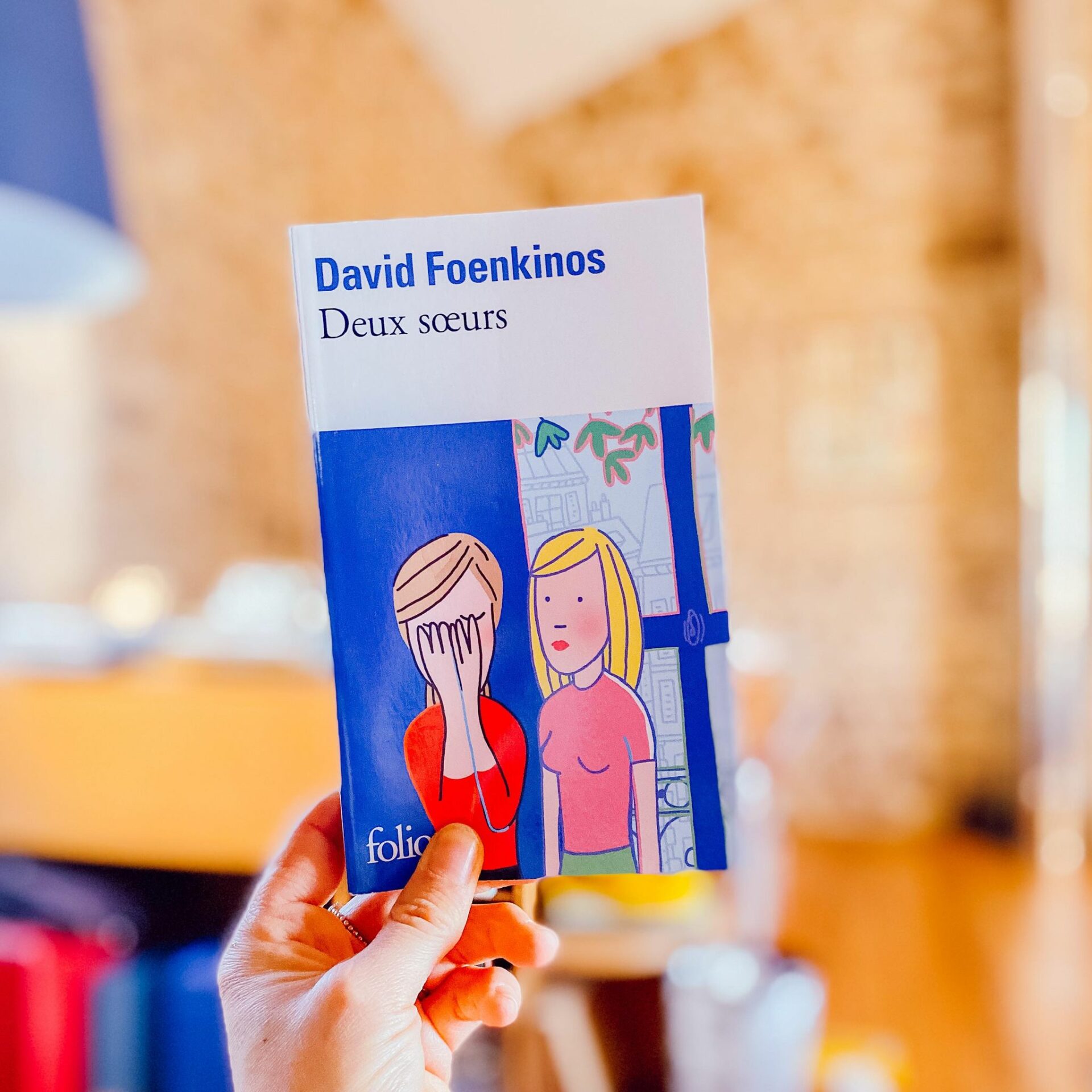 Deux Sœurs David Foenkinos Mon Avis Mademoisellelit 